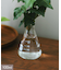 三角フラスコ：100ml／SCIENCE