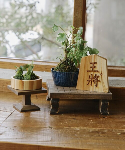 駒台風スタンド／苔玉と盆栽｜サリュの通販｜&mall（アンドモール