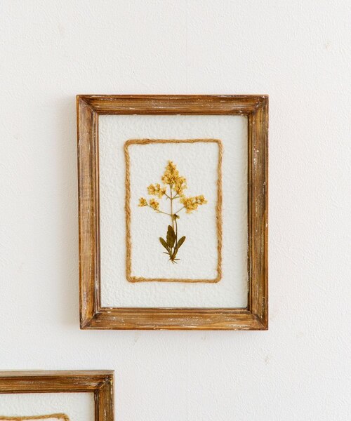押し花アートパネル｜サリュの通販｜&mall（アンドモール）三井