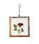 アイアンフレーム押し花アートパネル