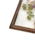 アイアンフレーム押し花アートパネル