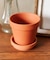 テラコッタポットトレイ