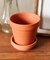 テラコッタポット：3号