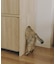 《WEB限定商品》ペットトイレ隠しキャビネット／猫と暮らす