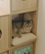 《WEB限定商品》ペットクッション／猫と暮らす
