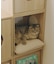 《WEB限定商品》ペットクッション／猫と暮らす