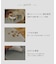 《WEB限定商品》シリコーンフードマット／猫と暮らす