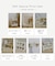 窓型シェルフ／25th Special Price Item