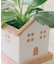 受け皿付きおうちポット3号／おうち植物