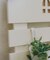 おうちウォールスノコラック／おうち植物
