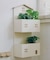 おうち2段プランターラック／おうち植物