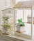 おうちマルシェ2段ラック／おうち植物