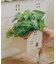 おうちハンギングポットカバー／おうち植物