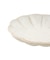 菊皿10cm