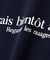 フレアスリーブロゴTシャツ