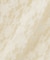 ＜CanCam.jp掲載＞シャツカラー起毛レースカットソー