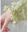 フリンジジャガードブラウス