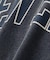 SS WIDE FROST WASH CR TEE