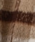 Aラインミドルコート 26AW