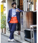ダメリーノ インサレーション セットアップ