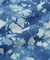 YONETOMI／別注 WAVE COTTON KNIT P／O