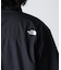THE NORTH FACE／ S／S Nupste Shirt