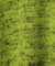 COOHEM／KOHEN SHYGGY DOG KNIT PO