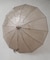 Traditional Weatherwear／CLEAR UMBRELLA BAMBOO