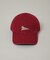 CORNELL UNIVERSITY／CORNELL UNV TWILL WASHED CAP