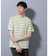 ナノベアボーダーTシャツ 半袖