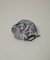 nine by four／94 WR PE-TWILL PRINT 6P CAP