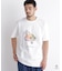 フォルクスワーゲンプリントTシャツ
