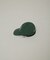 University／HAWAII CAP POACH