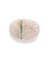 ｓｔｏｎｅ＋ｇｌａｓｓ