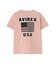 《WEB&DEPOT限定》S／S CREW NECK T STAR SPANGLED BANNER／クルーネック Tシャツ 星条旗