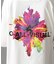 《AVIREX × A4A》SPLASH PAINT SHORT SLEEVE T-SHIRT ／ スプラッシュペイント T