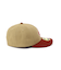 ロウ プロファイル 59フィフティ ／ LOW PROFILE 59FIFTY "AC"／ アヴィレックス