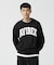 《DAILY／デイリー》CREW NECK L／S SWEAT LOGO ／ クルーネック ロングスリーブ スウェット ／ AVIREX ／