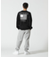 《WEB&DEPOT限定》AMERICAN FLAGS L／S T-SHIRT ／ アメリカン フラッグス 長袖 Tシャツ ／ AVIREX