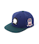 《AVIREX × EXPANSION》 FLAT VISOR CAP BLUE ／ フラット バイザー キャップ ブルー