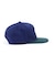 《AVIREX × EXPANSION》 FLAT VISOR CAP BLUE ／ フラット バイザー キャップ ブルー