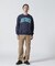 ＤＰ　ＤＡＩＬＹ　ＥＸ　ＣＲＥＷ　ＮＥＣＫ　ＳＷＥＡＴ