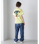 《WEB&DEPOT限定》M-65 FATIGUE DENIM PANTS ／ M-65 ファティーグ デニム パンツ ／ AVIREX ／