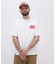 SAGARA TOM CAT T-SHIRT ／ サガラ トムキャットＴシャツ ／ AVIREX ／ アヴィレックス