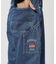 バーシティー ペインター パンツ／VARSITY PAINTER PANTS