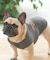 《DOG WEAR》イーグルタンク フレンチブルドック用
