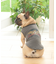 《DOG WEAR》イーグルタンク フレンチブルドック用