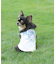 《DOG WEAR》USAFA EMB タンク