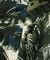 ALOHA SHIRT "TIGER & PALM TREE" ／ アロハシャツ "タイガー＆ パームツリー" ／ AVIREX