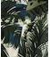 ALOHA SHIRT "TIGER & PALM TREE" ／ アロハシャツ "タイガー＆ パームツリー" ／ AVIREX